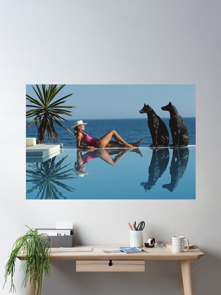 Retro Poolside Host Luxury Lif - Luxury Lifestyle Picture recension och pris