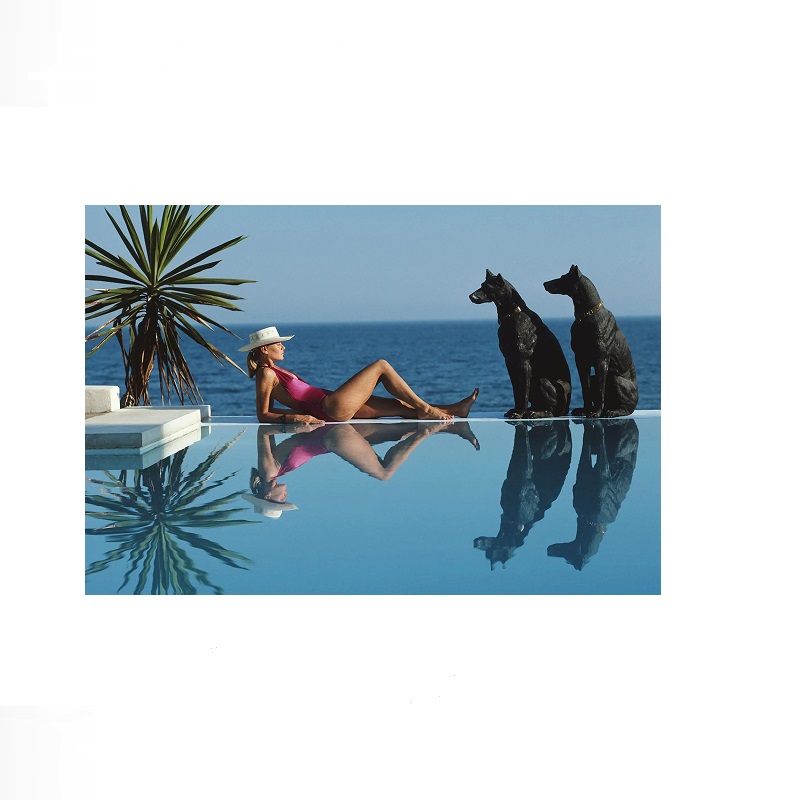 Retro Poolside Host Luxury Lif - Luxury Lifestyle Picture recension och pris